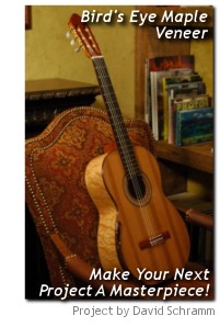 Birds Eye Maple Guitar pg-project-schramm.jpg