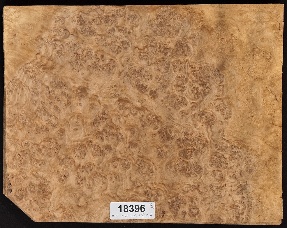 Oak Burl Veneer Stock List