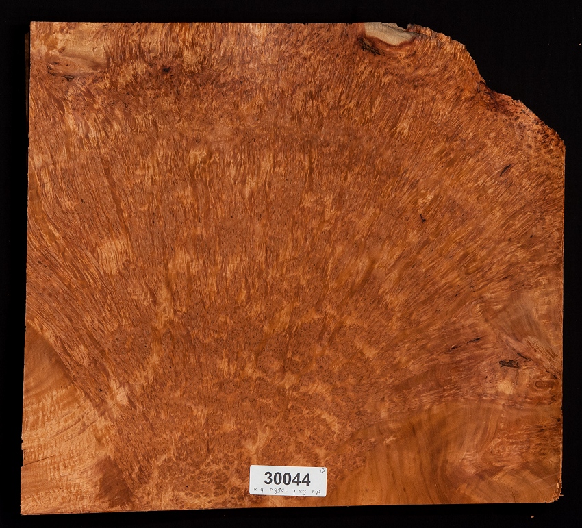 Amboyna Burl Veneer Lot