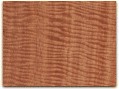 Fiddleback Kotibe Veneer