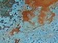 copper-azul-s.jpg