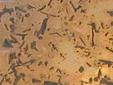 copper-bamboo-s.jpg