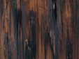 copper-enchantment-s.jpg