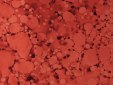 copper-red-wine-s.jpg