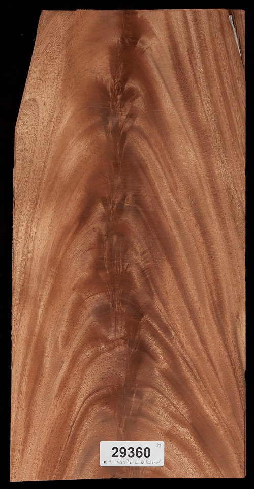 Mahogany (Khaya) Crotch Veneer Lot